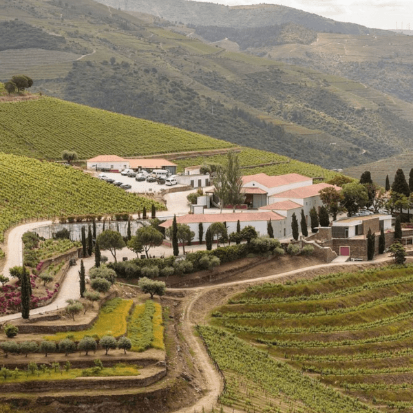 Quinta Nova Nossa Senhora do Carmo